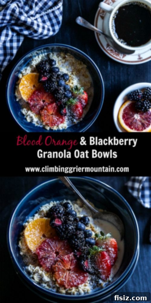 Sunrise Blood Orange Blackberry Granola Oat Bowls 8 Overhead view of Blood Orange & Blackberry Granola Oat Bowls