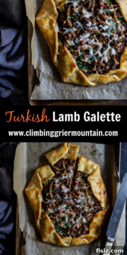 Close-up of Turkish Lamb Galette with Parsley Garnish