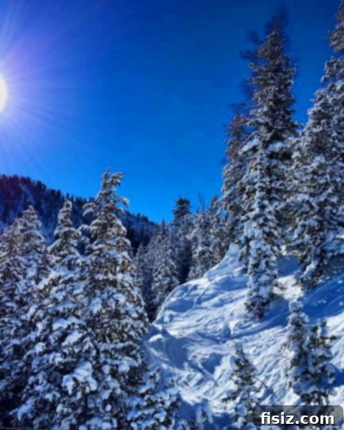 Solitude Mountain Resort Girls Ski Adventure 8 Skier enjoying a clear day on the slopes