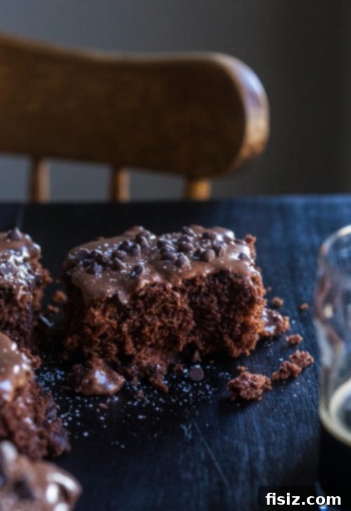 Rich Chocolate Treat with Stout-Spiked Ganache 2 Rich Chocolate Snack Cake with Guinness Ganache Frosting on a cooling rack