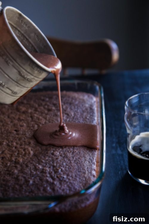 Rich Chocolate Treat with Stout-Spiked Ganache 4 Freshly baked Chocolate Snack Cake cooling on a wire rack