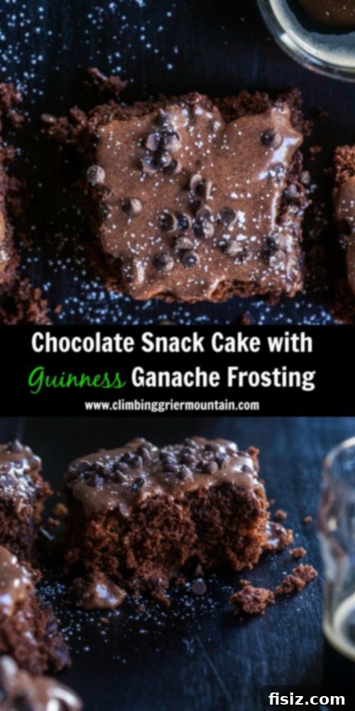 Rich Chocolate Treat with Stout-Spiked Ganache 8 A slice of Chocolate Snack Cake with Guinness Ganache Frosting and mini chocolate chips