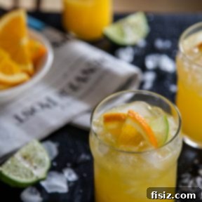 Sunrise Mule 6 Morning Mule Cocktail