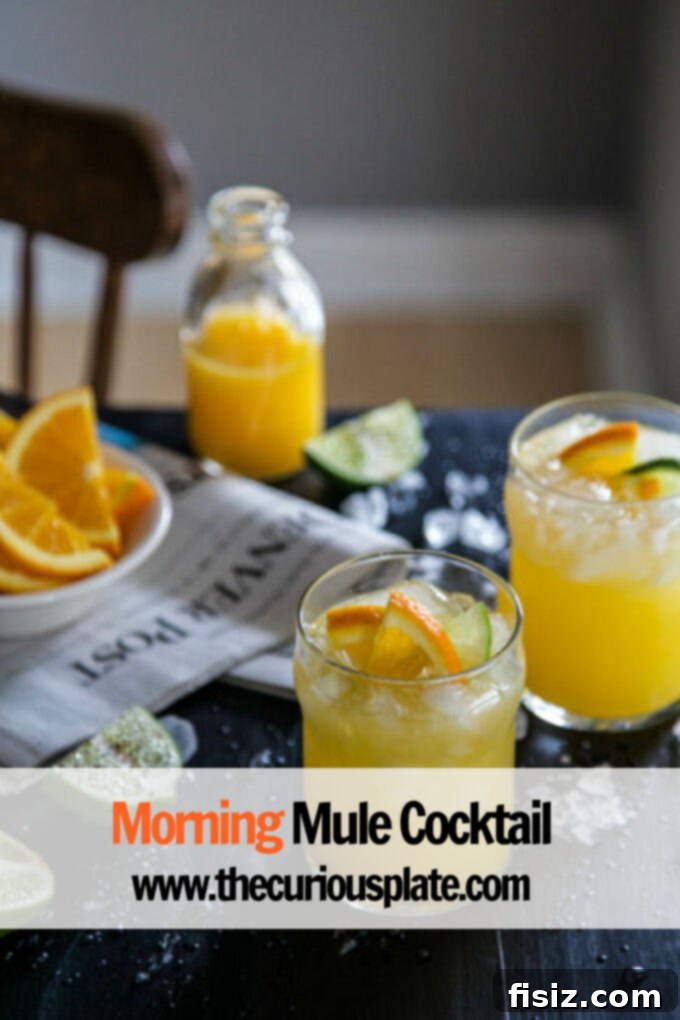 Sunrise Mule 7 Close up view of a garnished Morning Mule cocktail, inviting and refreshing