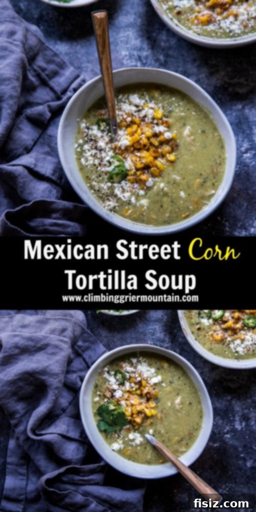 Street Corn Tortilla Soup 8 Overhead shot of a bowl of Mexican Street Corn Tortilla Soup with a spoon, highlighting the texture and vibrant colors.