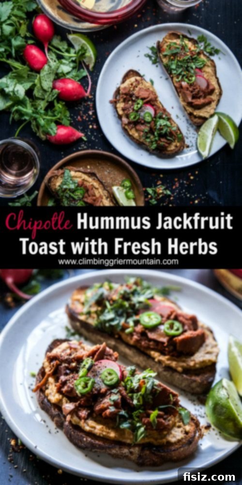 Herbed Chipotle Jackfruit Hummus Toast 10 A beautifully plated Chipotle Hummus Jackfruit Toast with Fresh Herbs, ready to be enjoyed