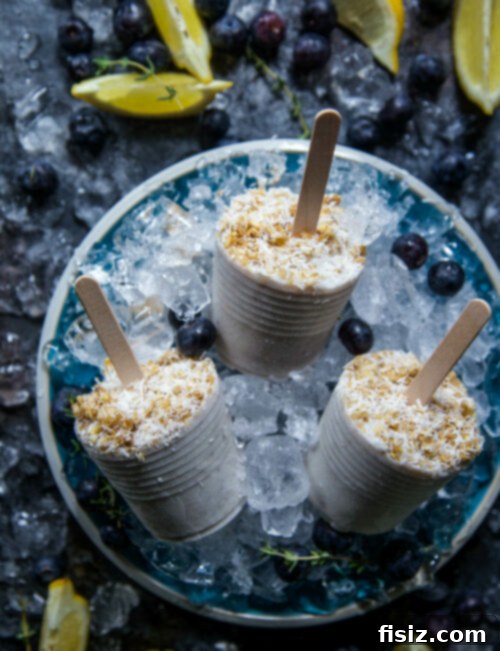 Lemon-Kissed Blueberry Thyme Crisp Bites 2 Delicious Blueberry Lemon Thyme Crisp Pops, perfect for summer