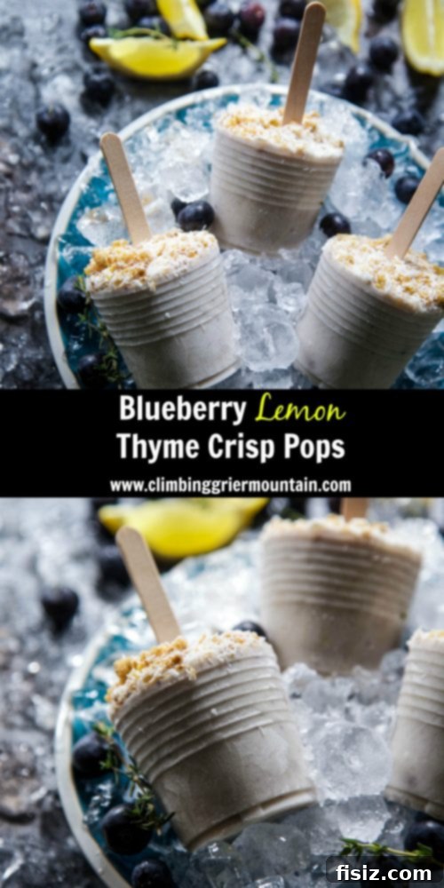 Lemon-Kissed Blueberry Thyme Crisp Bites 8 Ready-to-eat Blueberry Lemon Thyme Crisp Pops with fresh berries and thyme