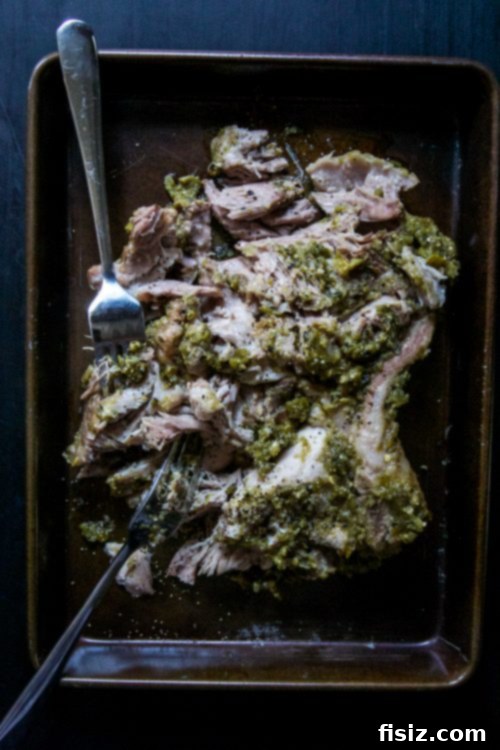 Zesty Pork & Avocado Toast Feast 4 Close-up of Salsa Verde Pulled Pork Avocado Toasts