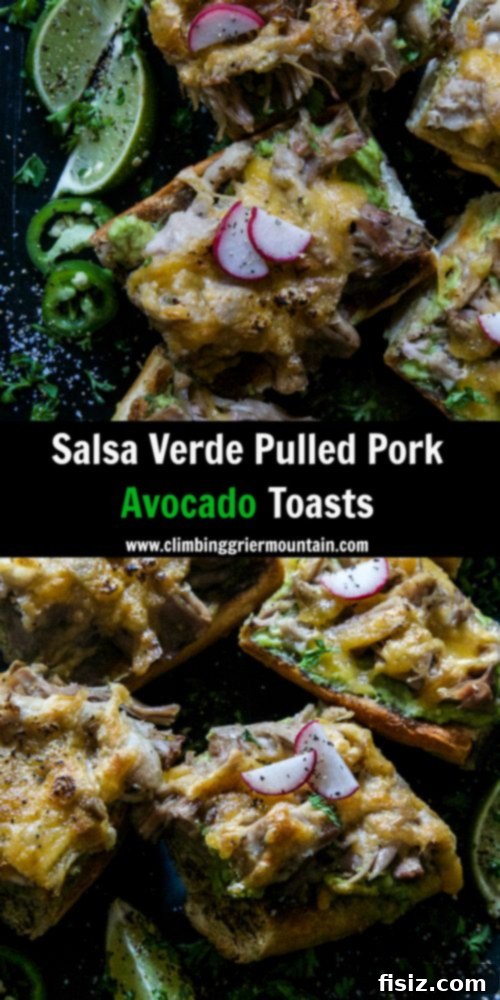 Zesty Pork & Avocado Toast Feast 9 Overhead shot of garnished Salsa Verde Pulled Pork Avocado Toasts