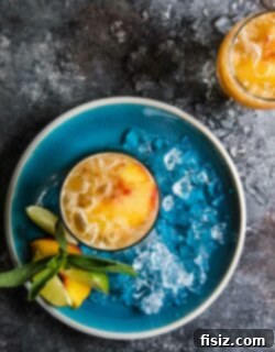 Sparkling Kombucha Peach Rum Punch 6 img 23094 5