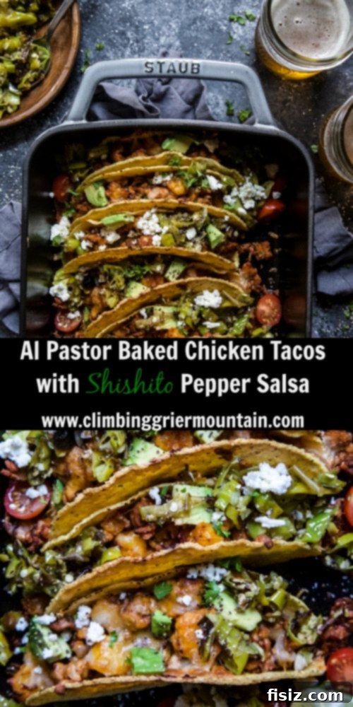 Tangy Al Pastor Chicken Tacos with Blistered Shishito Salsa 8 Final plated Al Pastor Baked Chicken Tacos with a side of salsa