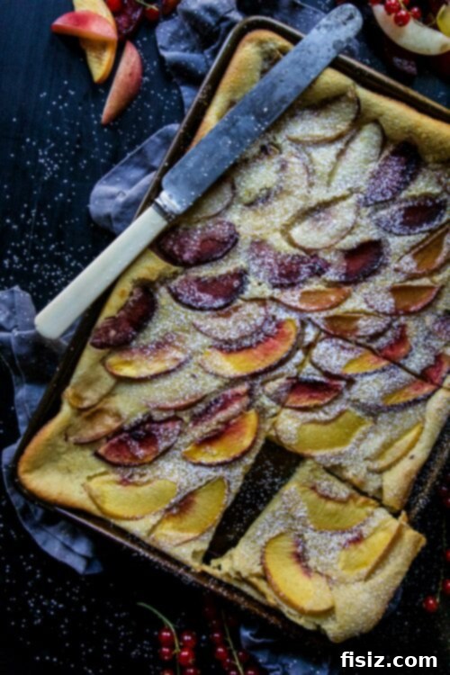 Honey-Kissed Stone Fruit Clafoutis 2 Stone Fruit and Honey Clafoutis in a baking dish, freshly baked
