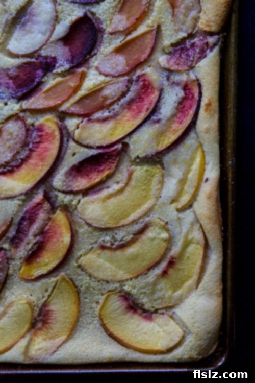 Honey-Kissed Stone Fruit Clafoutis 4 Side view of Stone Fruit and Honey Clafoutis in a ceramic dish