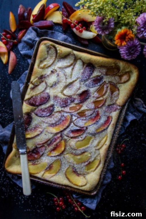 Honey-Kissed Stone Fruit Clafoutis 6 A single serving of Stone Fruit and Honey Clafoutis on a plate, garnished with powdered sugar