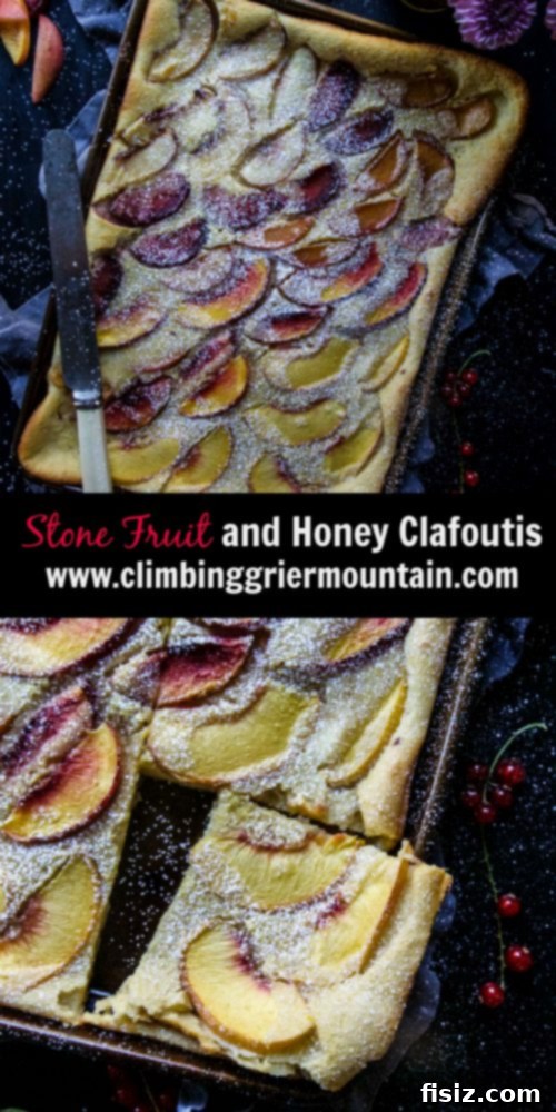 Honey-Kissed Stone Fruit Clafoutis 8 Stone Fruit and Honey Clafoutis in a baking dish, ready to be served