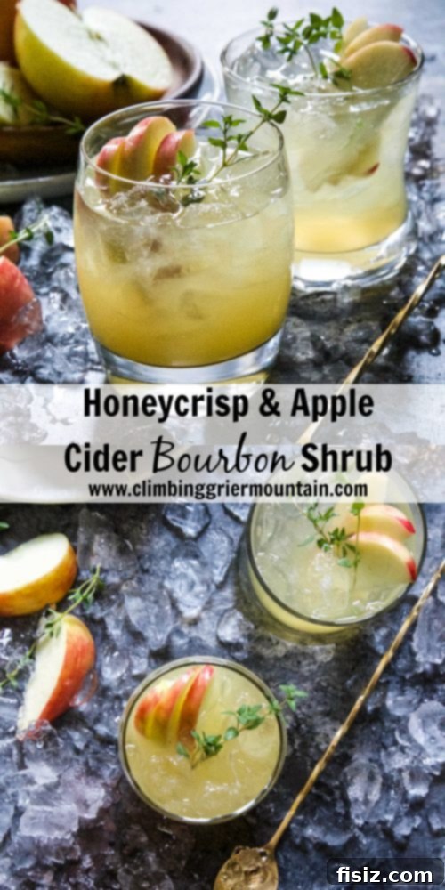 Honeycrisp Apple Cider Bourbon Shrub 8 Honeycrisp & Apple Cider Bourbon Shrub - Garnished
