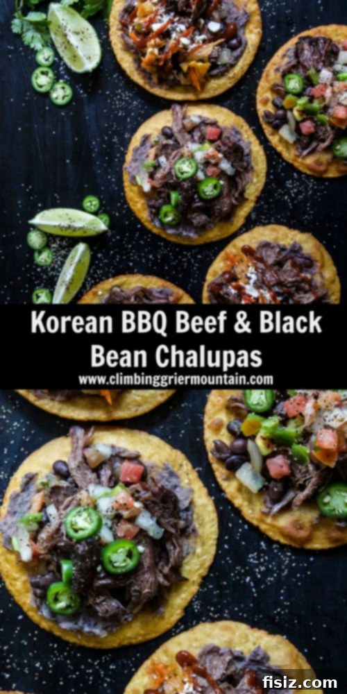 Korean BBQ Beef and Black Bean Chalupas 8 Korean BBQ Beef & Black Bean Chalupas, ready to be enjoyed