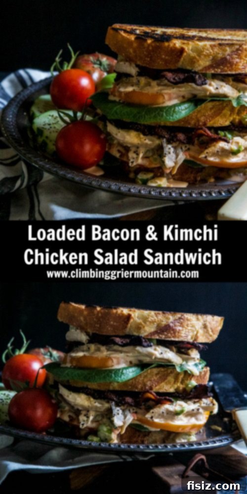 Loaded Bacon and Kimchi Chicken Salad Sandwich 8 Gourmet Chicken Salad Sandwich with Kimchi