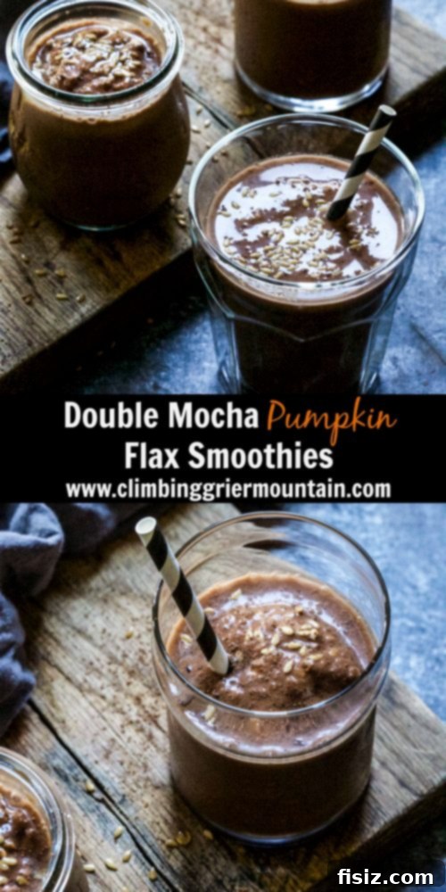 Double Mocha Pumpkin Flax Smoothie 7 Two glasses of Double Mocha Pumpkin Flax Smoothies, garnished with cocoa and a cinnamon stick, ready to serve
