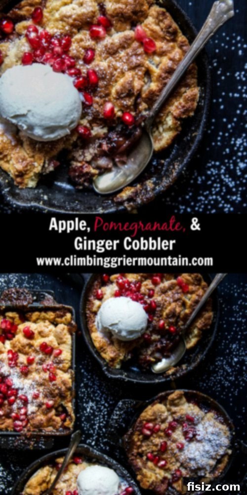 A close-up shot of a single serving of Apple Pomegranate Ginger Cobbler, topped with melting ice cream and fresh pomegranate seeds