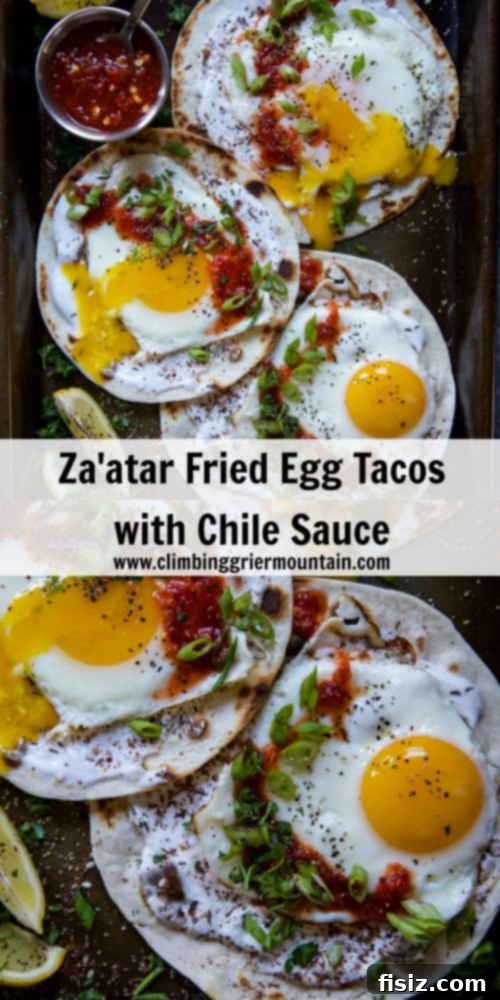 Za'atar Fried Egg Tacos with Fiery Chile Sauce 7 Final plating of Za'atar Fried Egg Tacos with Chile Sauce