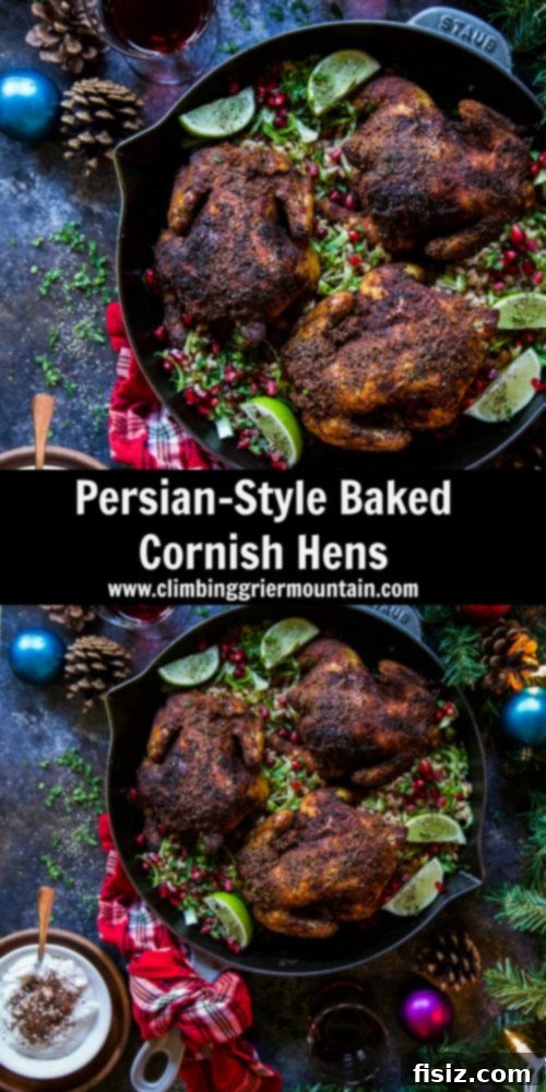 Jeweled Persian Roasted Cornish Hens 7 A close-up of a serving of Persian-Style Baked Cornish Hens, garnished and ready.