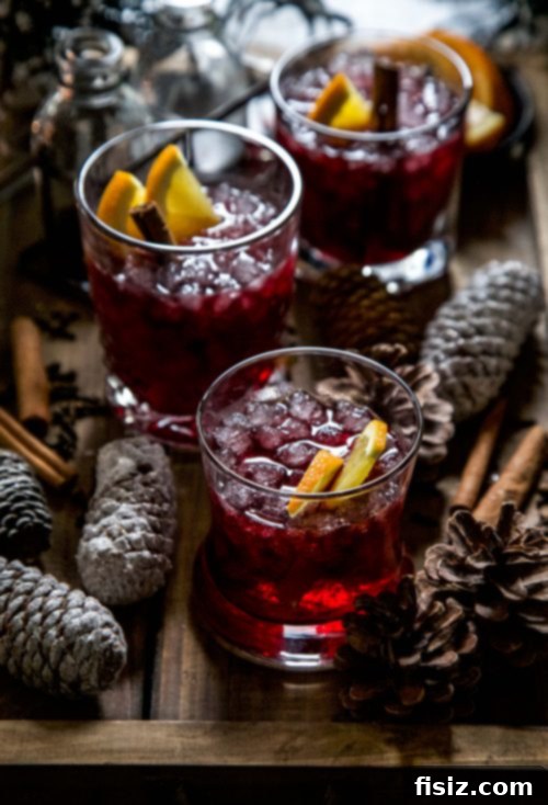 Ruby Spiced Sparkle Punch 5 Spiced Merlot Sparkling Punch ready to serve in a glass with garnishes