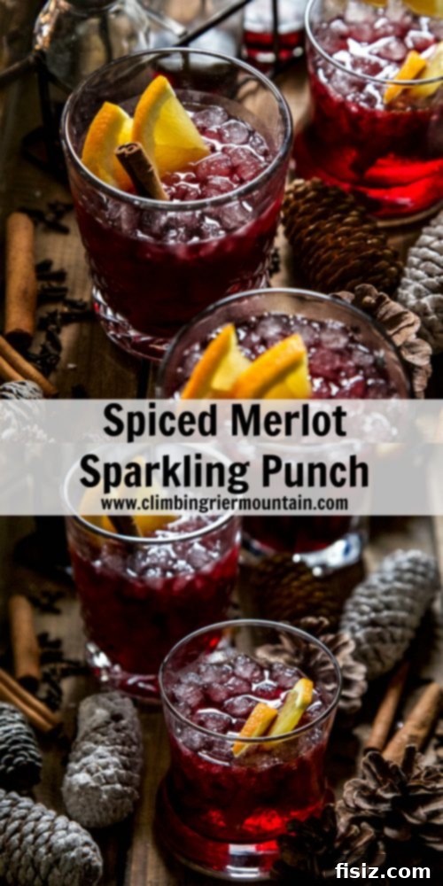 Ruby Spiced Sparkle Punch 7 Close-up of a glass of Spiced Merlot Sparkling Punch with ice and garnishes