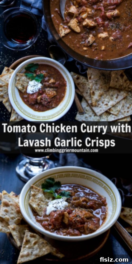 Rich Tomato Chicken Curry with Crispy Garlic Lavash 7 A beautifully plated bowl of Tomato Chicken Curry with Crispy Lavash and cilantro garnish, ready to be enjoyed.