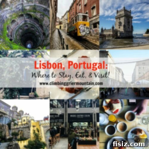 Lisbon Revealed: Your Guide to Stays, Bites, and Sights 2 Panoramic view of Lisbon's charming streets and terracotta rooftops