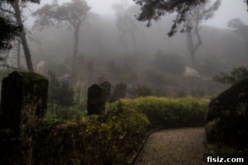 Lisbon Revealed: Your Guide to Stays, Bites, and Sights 42 The ancient stone walls of Moors Castle emerging from the misty forest