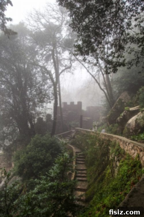 Lisbon Revealed: Your Guide to Stays, Bites, and Sights 44 A fortified watchtower of Moors Castle on a foggy day