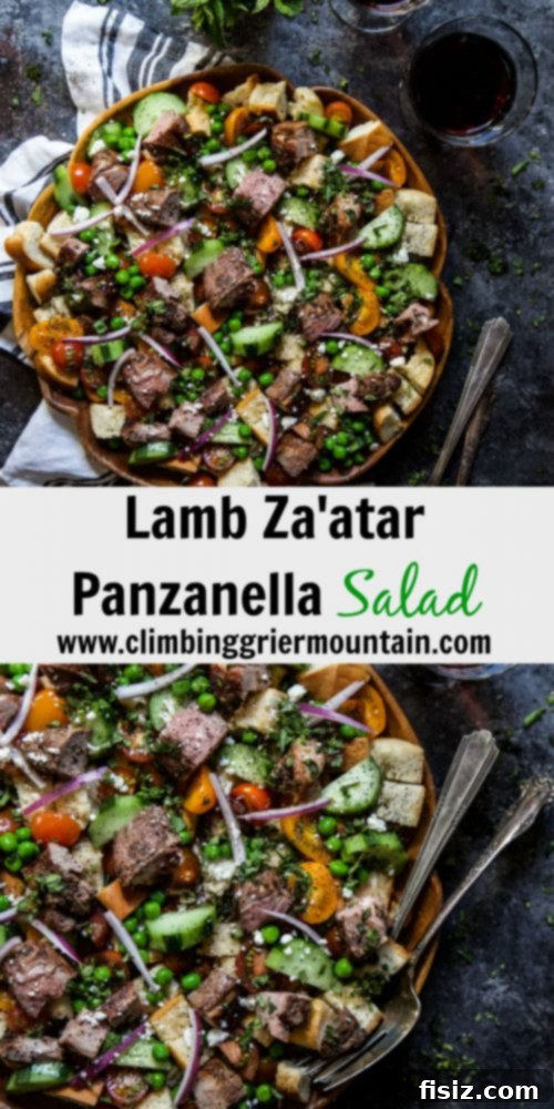 Za'atar Lamb Panzanella Salad 7 Overhead shot of the complete Lamb Za'atar Panzanella Salad, ready to serve
