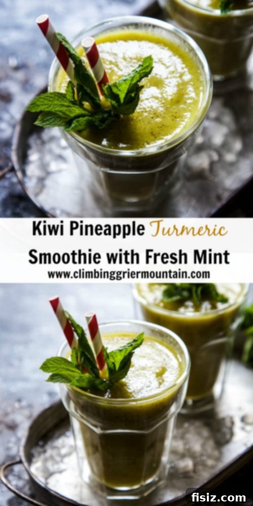 Vibrant Turmeric Pineapple Kiwi Mint Smoothie 8 Overhead shot of two glasses of Kiwi Pineapple Turmeric Smoothie
