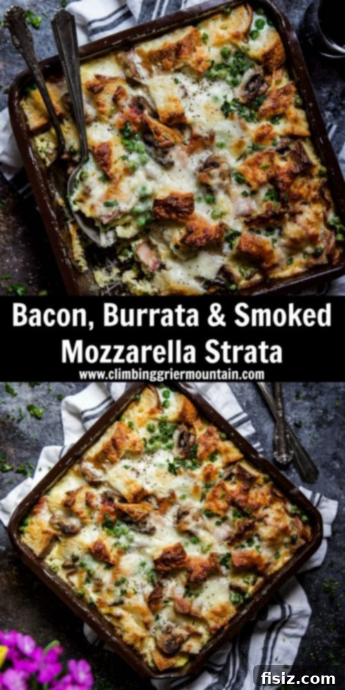A beautifully presented slice of Bacon, Burrata & Smoked Mozzarella Strata with melted cheese and fresh herbs on top, ready to be enjoyed.