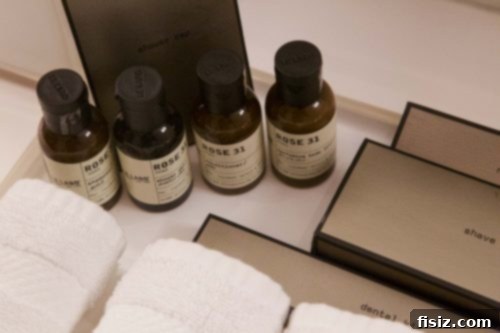 Amman Your Ultimate Stay Guide 10 Rain shower in a modern Fairmont Amman bathroom