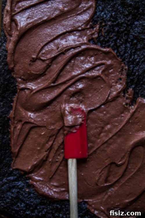 Exotic Cardamom Chocolate Sheet Cake 4 img 24139 3