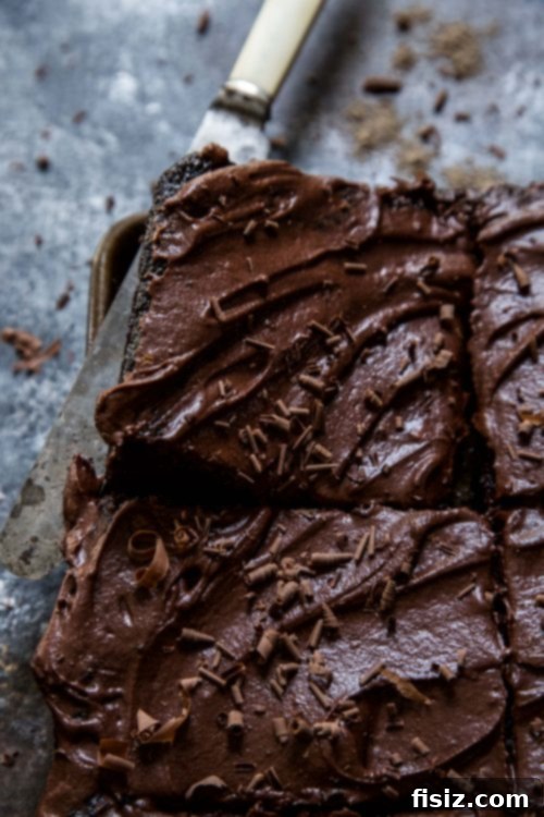 Exotic Cardamom Chocolate Sheet Cake 5 img 24139 4