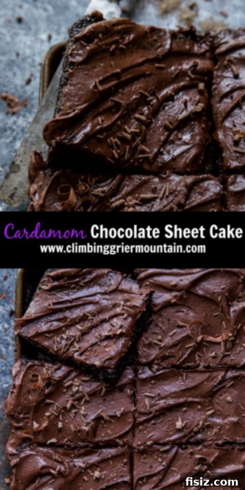 Exotic Cardamom Chocolate Sheet Cake 8 Cardamom Chocolate Sheet Cake