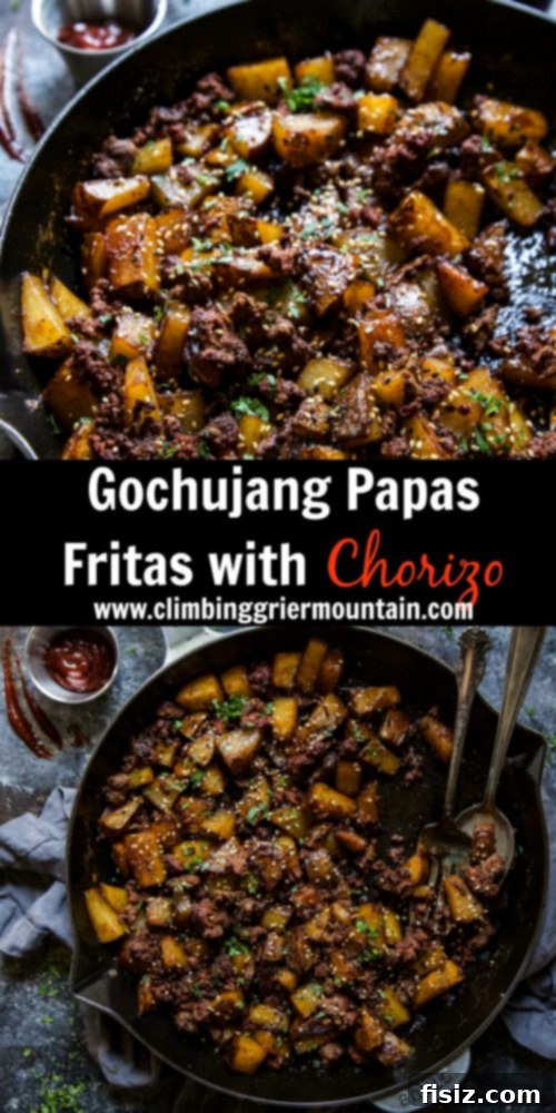 Gochujang Chorizo Loaded Fries 8 A wide shot of the Gochujang Papas Fritas with Chorizo ready to be served