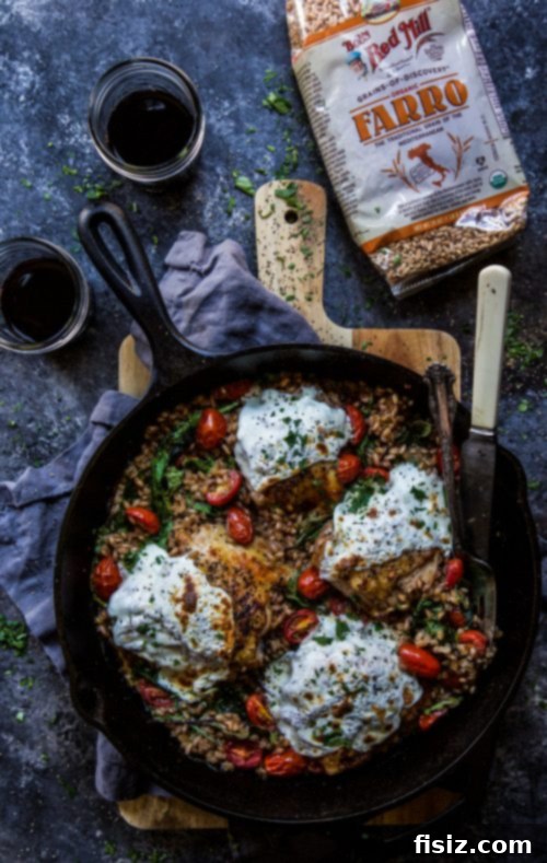 Umami Miso Chicken Farro Skillet 4 Close-up of Chicken and Farro Skillet with Miso Cream Sauce
