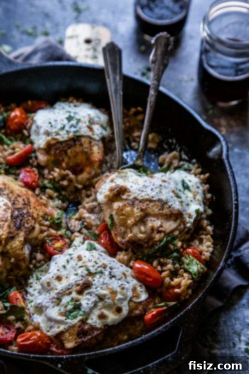 Umami Miso Chicken Farro Skillet 5 Cooked Farro ready for the skillet