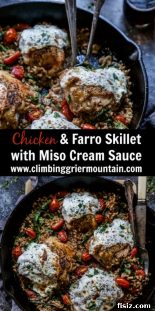 Umami Miso Chicken Farro Skillet 7 Finished Chicken and Farro Skillet with Miso Cream Sauce, garnished with parsley