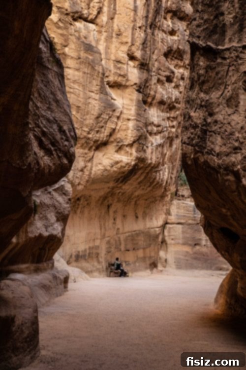 Petra Jordan Stay Dine and Discover the Rose City 11 Sunrise light filtering through the Siq in Petra