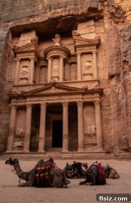 Petra Jordan Stay Dine and Discover the Rose City 14 Close-up of the Treasury's intricate carvings