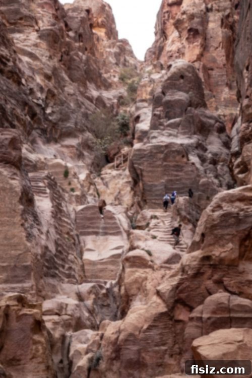 Petra Jordan Stay Dine and Discover the Rose City 16 Panoramic view of The Treasury from above