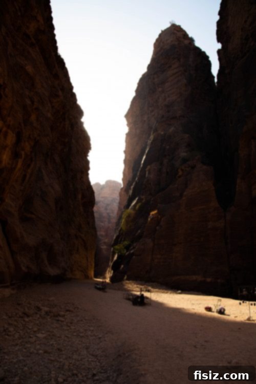 Petra Jordan Stay Dine and Discover the Rose City 19 Ancient Roman Theatre in Petra