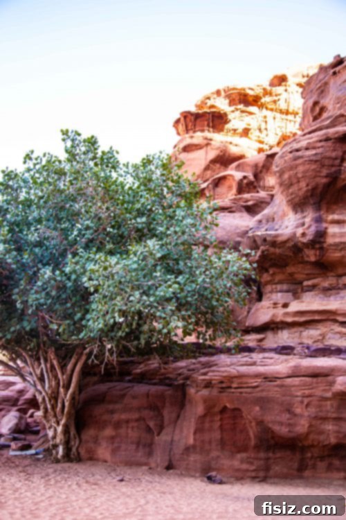 Journey to Wadi Rum Your Essential Guide to Sleeping Eating and Exploring the Martian Landscape 22 Drone flying over Wadi Rum landscape