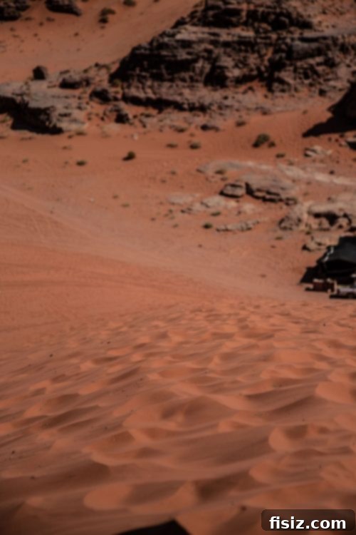 Journey to Wadi Rum Your Essential Guide to Sleeping Eating and Exploring the Martian Landscape 24 Climbing a sand dune in Wadi Rum